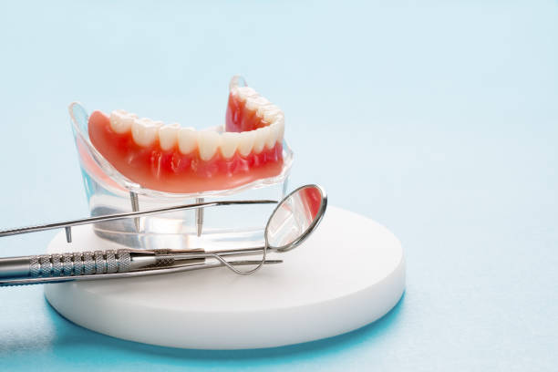 Forrest, IL  Holistic Dental Services Company